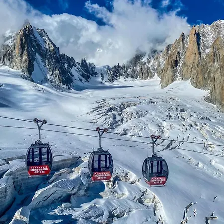 Le Cocon De L'aiguille * Chamonix